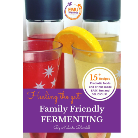 Family Friendly Fermenting Recipe Book