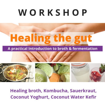 Healing the Gut Kombucha Workshop